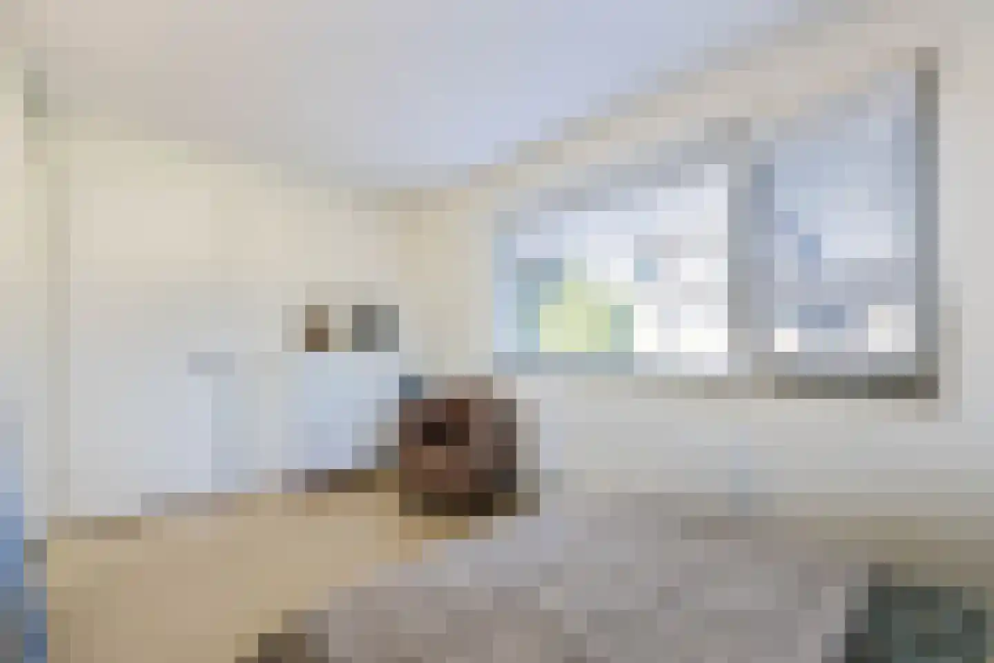 Wipmolen 2 Vianen thumbnail 28