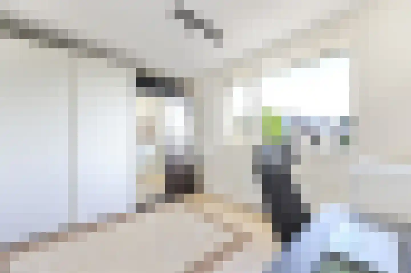 Wipmolen 2 Vianen thumbnail 29