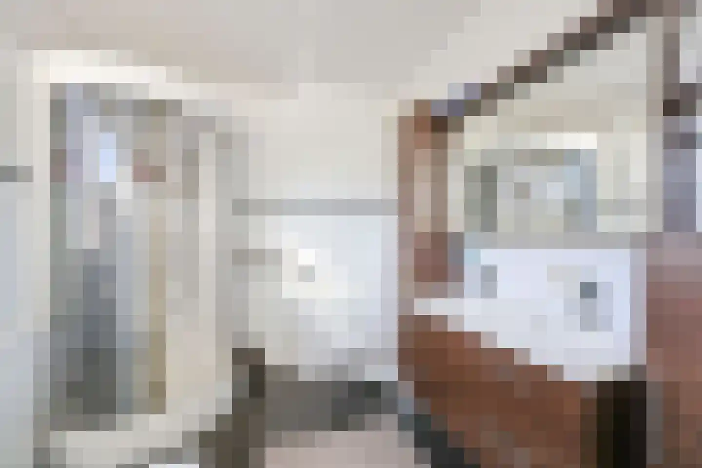 Wipmolen 2 Vianen thumbnail 33