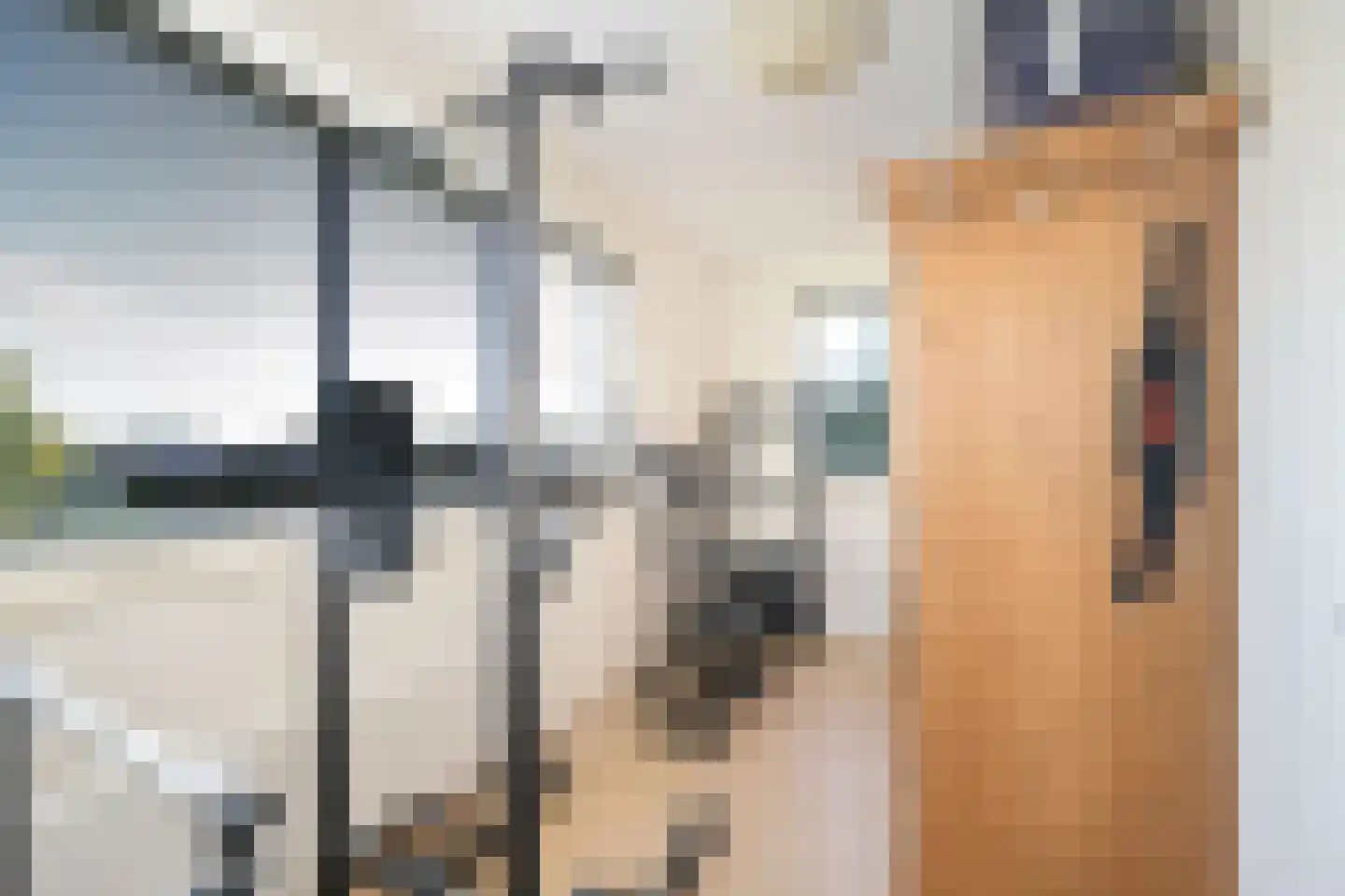 Wipmolen 2 Vianen thumbnail 37