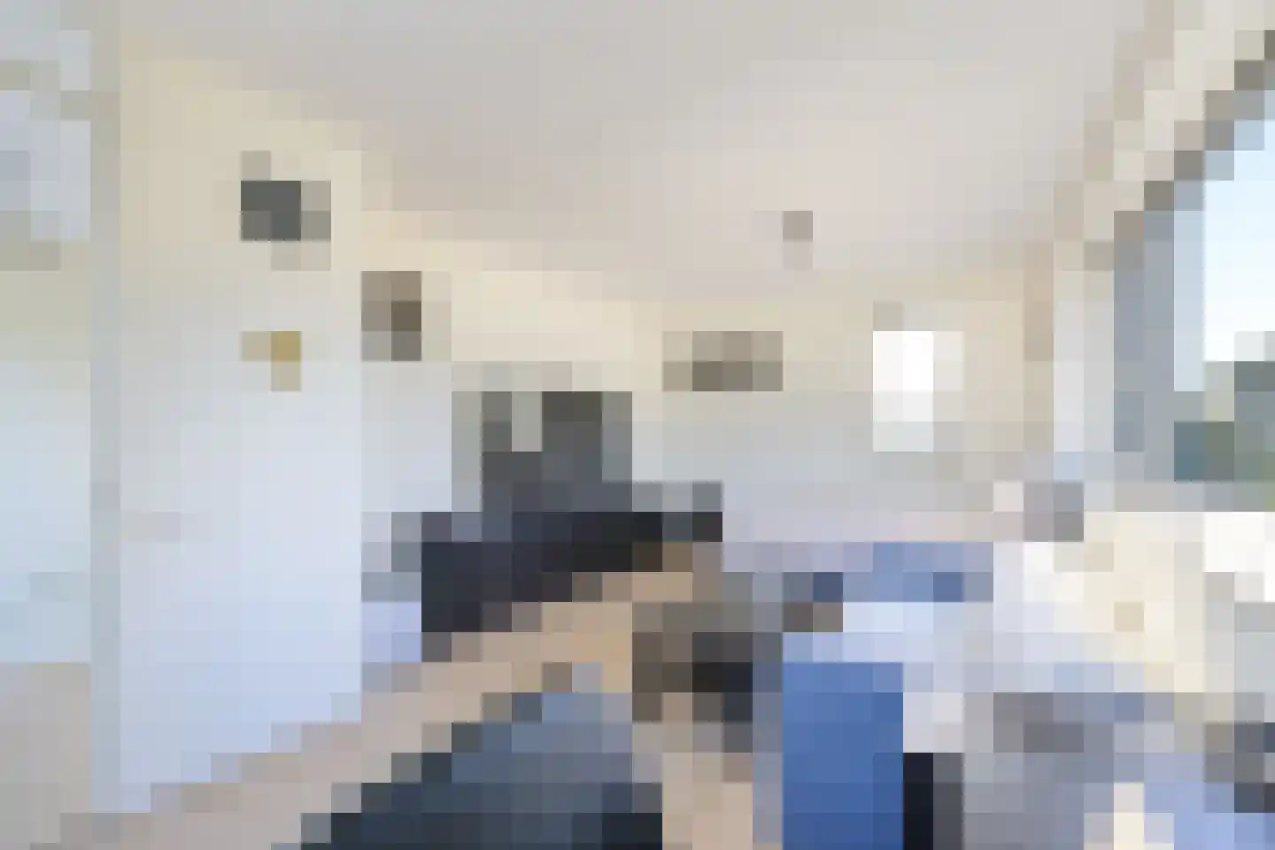 Wipmolen 2 Vianen thumbnail 39