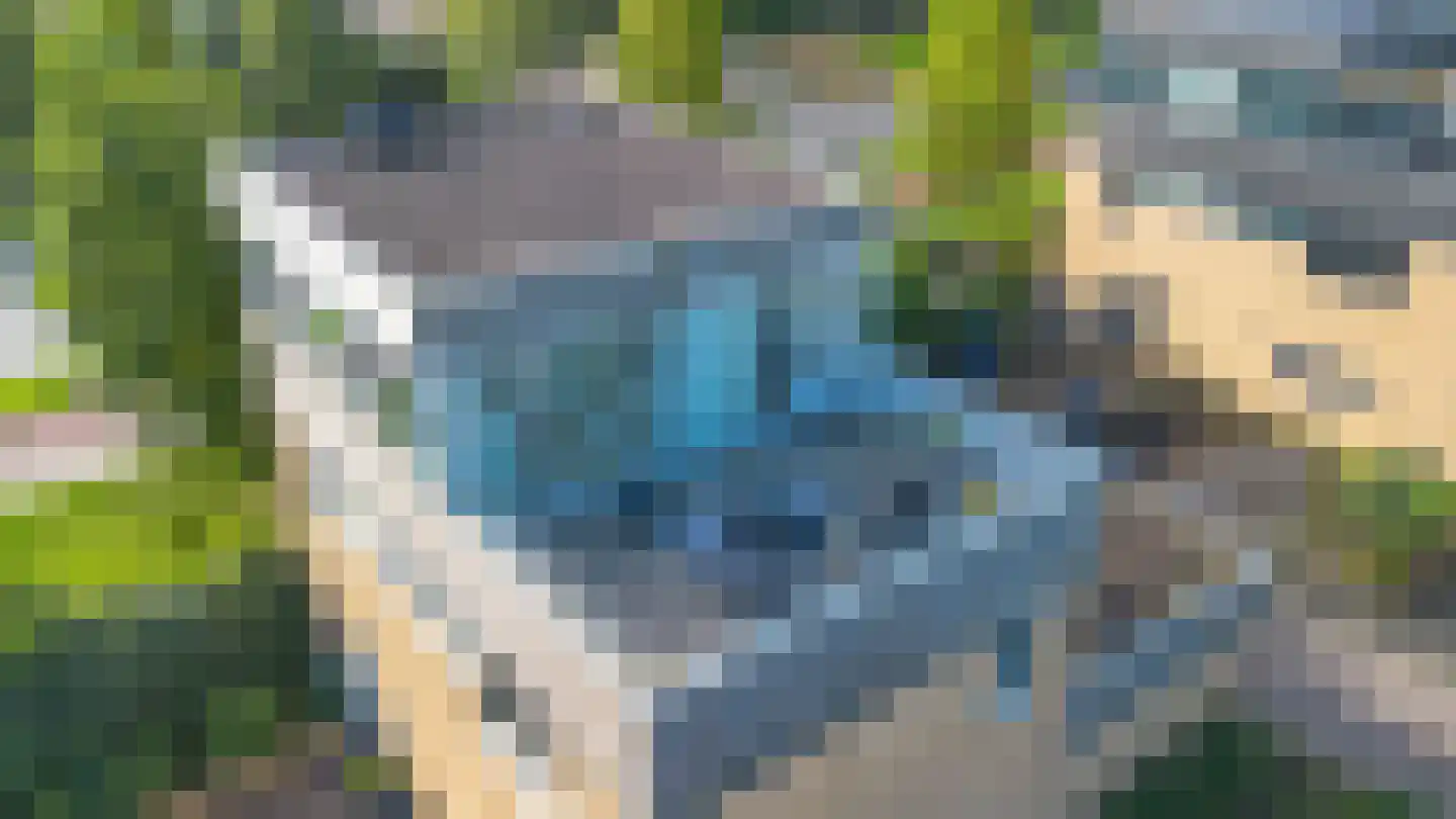 Wipmolen 2 Vianen thumbnail 47