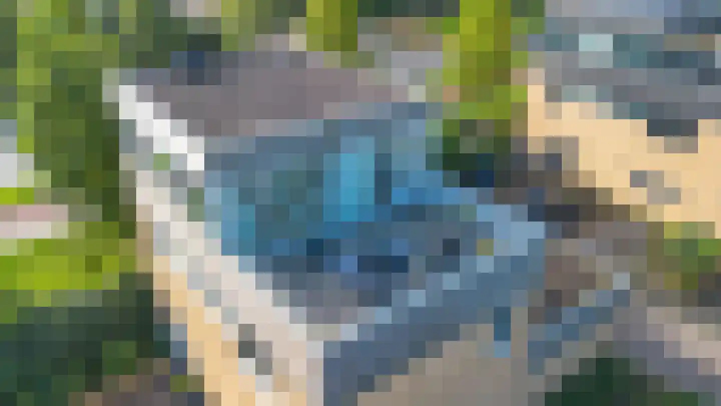 Wipmolen 2 Vianen thumbnail 47