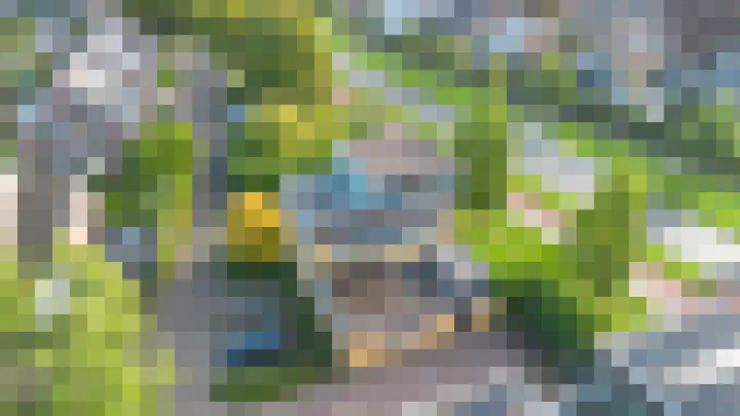 Wipmolen 2 Vianen thumbnail 48