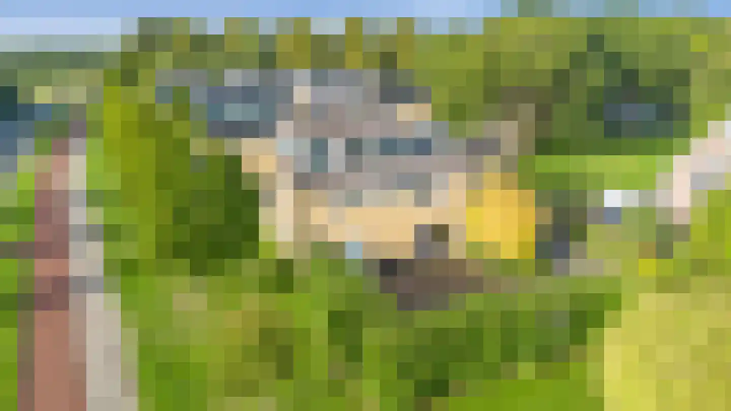 Wipmolen 2 Vianen thumbnail 5