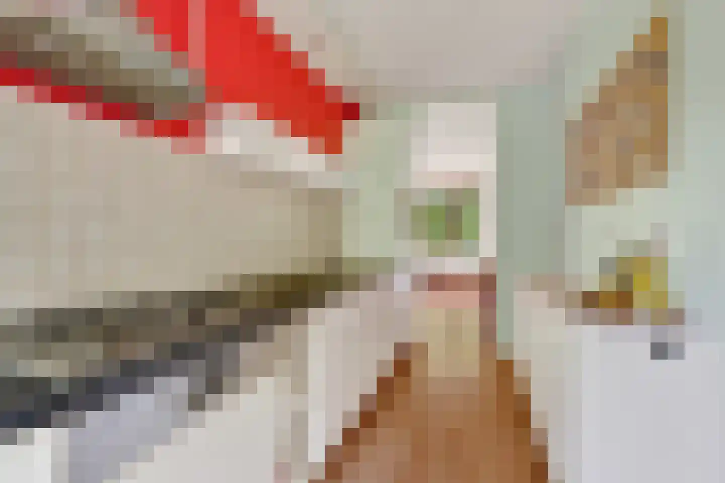 Wipmolen 32 Amsterdam thumbnail 15