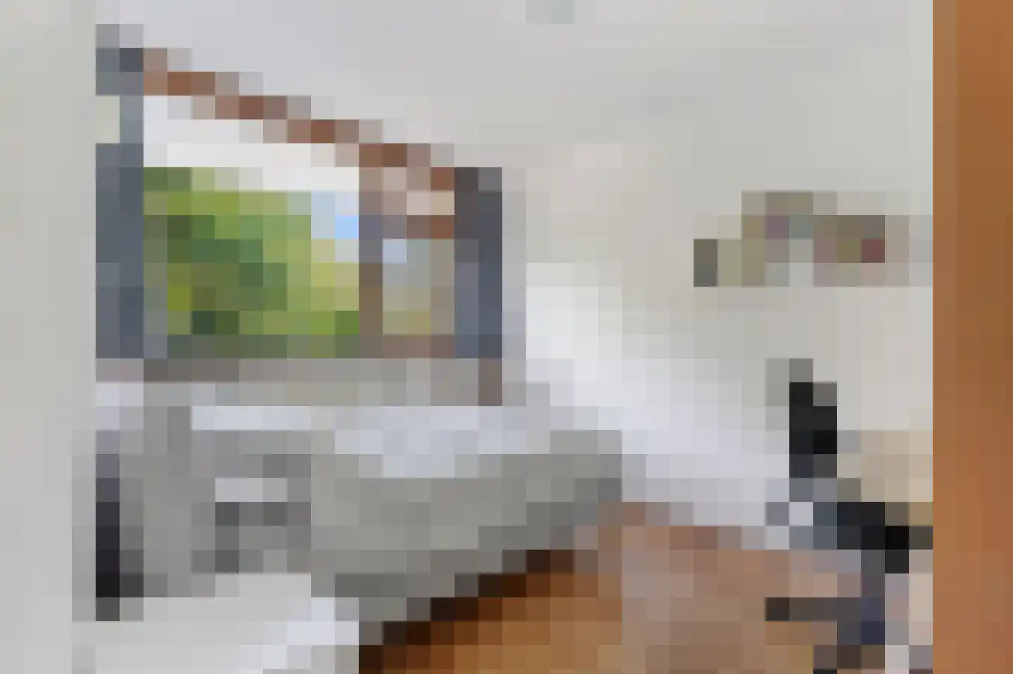 Wipmolen 32 Amsterdam thumbnail 23