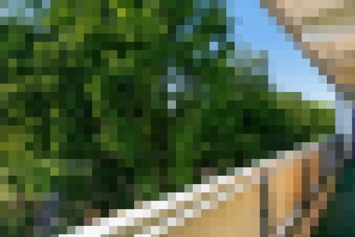 Wipmolen 32 Amsterdam thumbnail 42