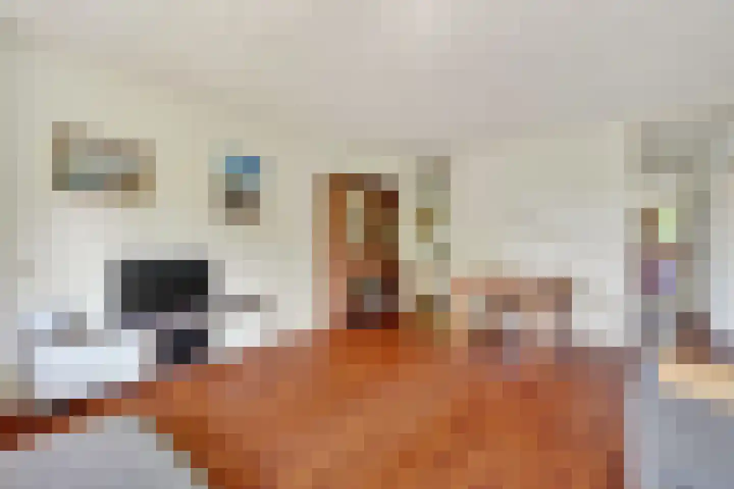 Wipmolen 32 Amsterdam thumbnail 7