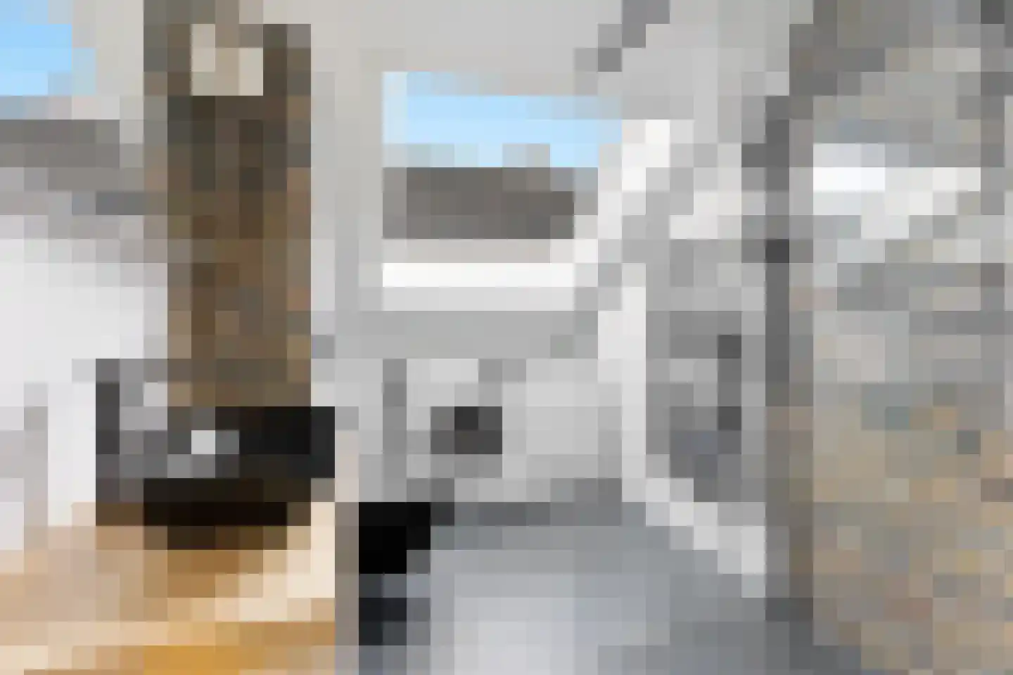 Wipmolen 32 Nieuw-Lekkerland thumbnail 21