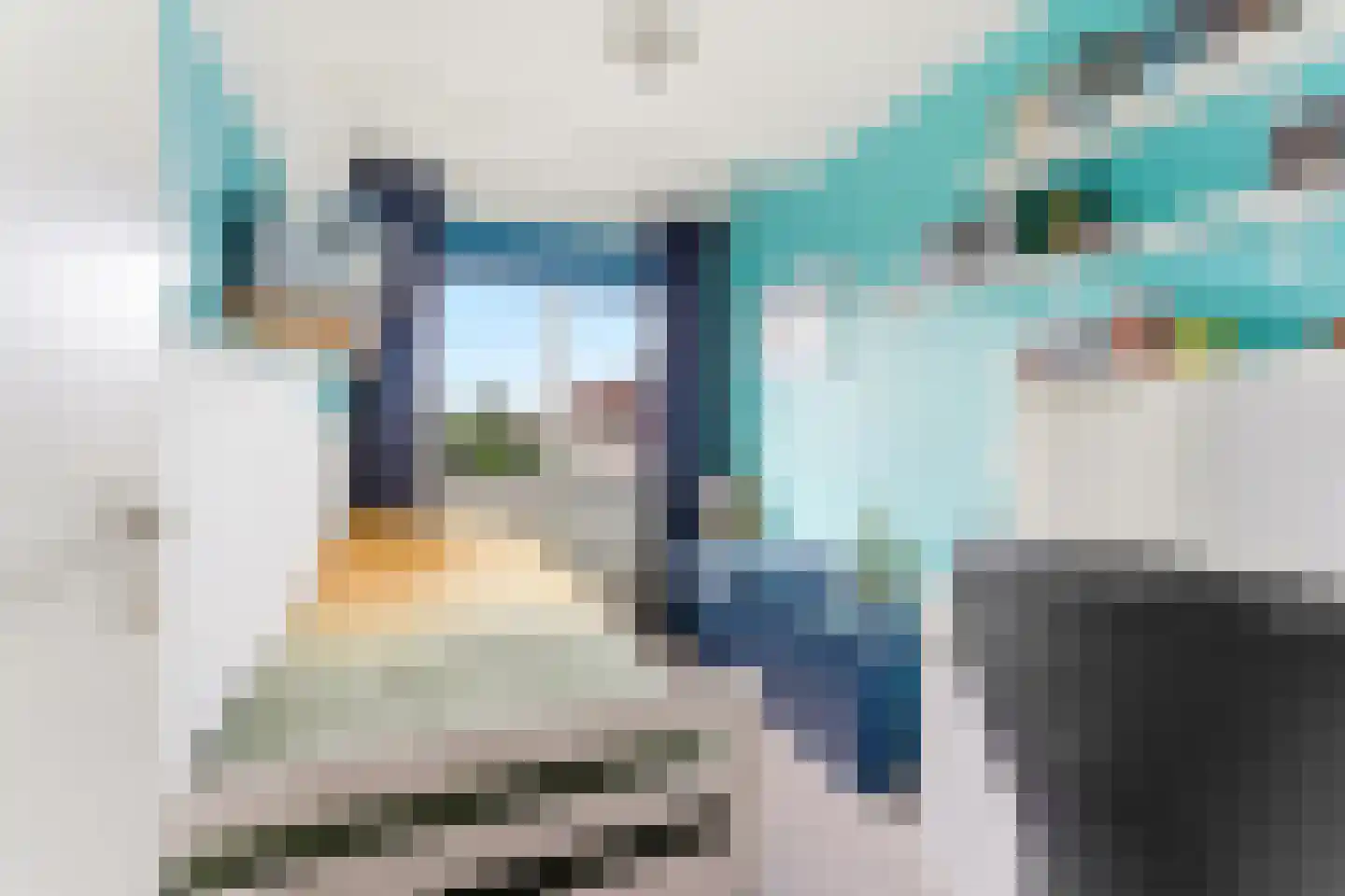 Wipmolen 32 Nieuw-Lekkerland thumbnail 30