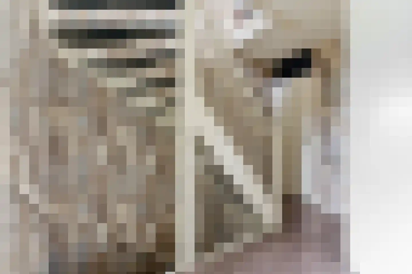 Wipmolen 32 Nieuw-Lekkerland thumbnail 32