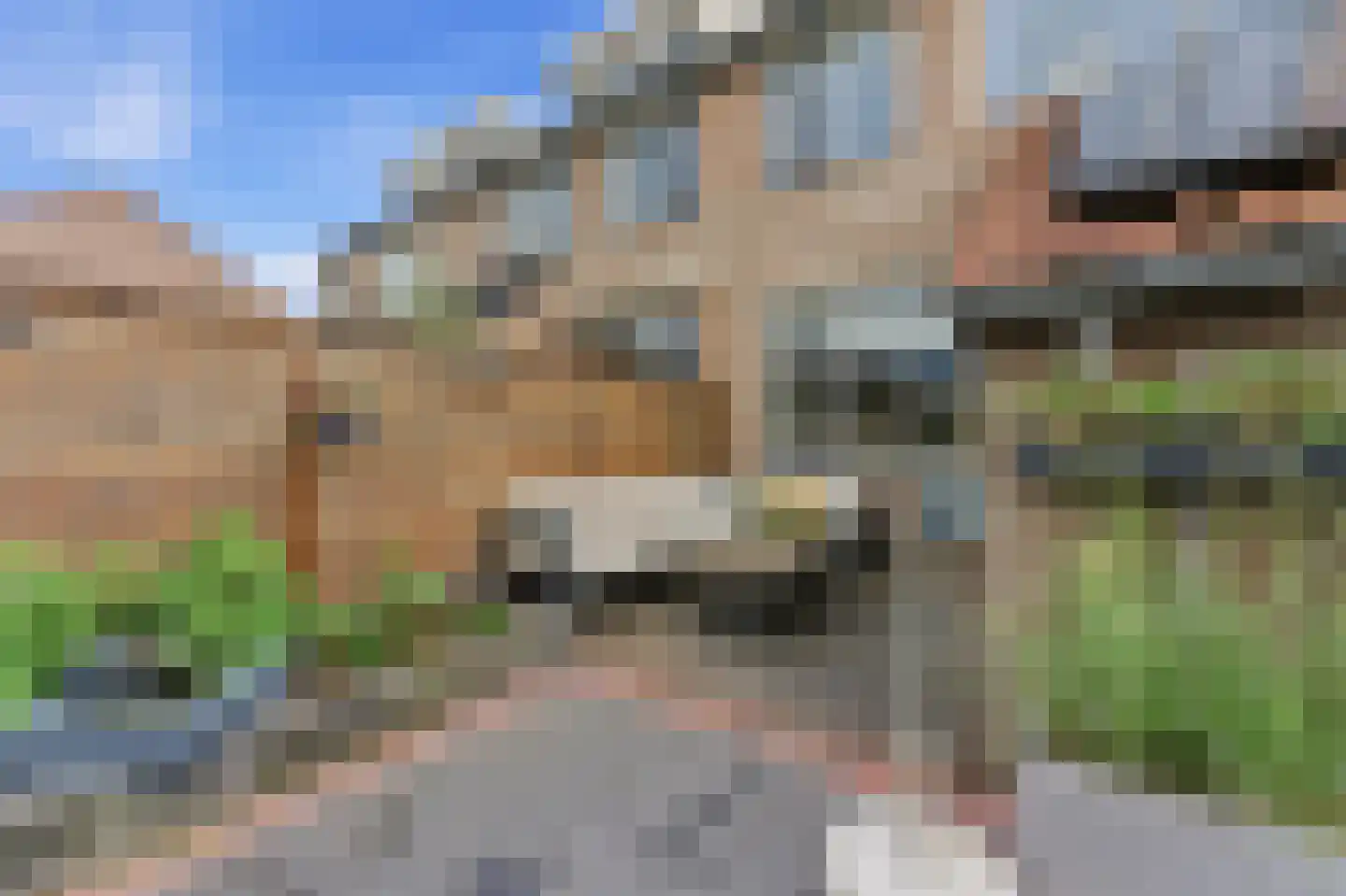 Wipmolen 32 Nieuw-Lekkerland thumbnail 43