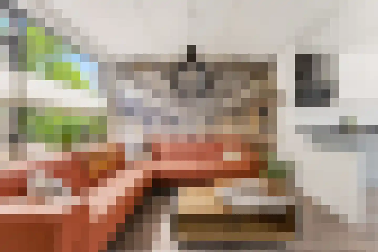 Wipmolen 32 Nieuw-Lekkerland thumbnail 5