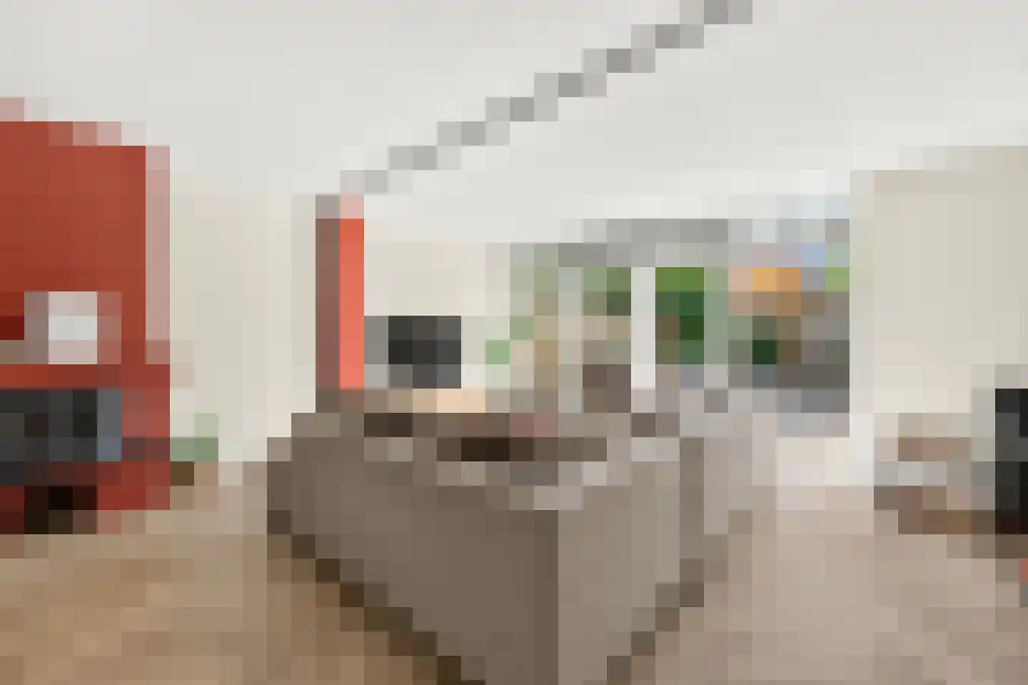 Wipmolen 4 Maassluis thumbnail 12