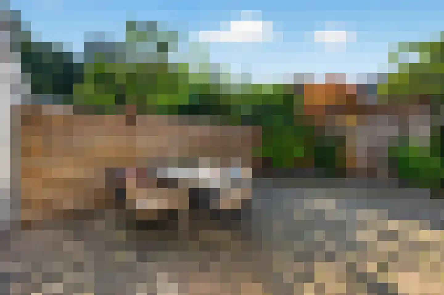 Wipmolen 4 Maassluis thumbnail 18