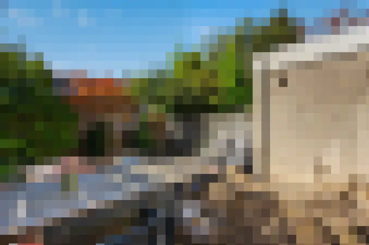 Wipmolen 4 Maassluis thumbnail 20