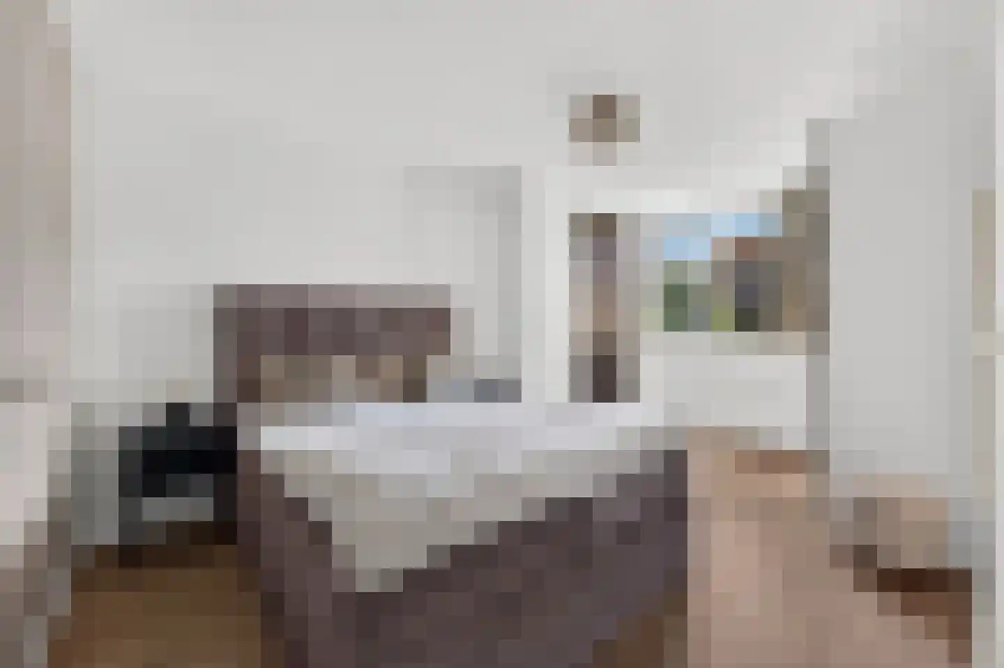 Wipmolen 4 Maassluis thumbnail 31