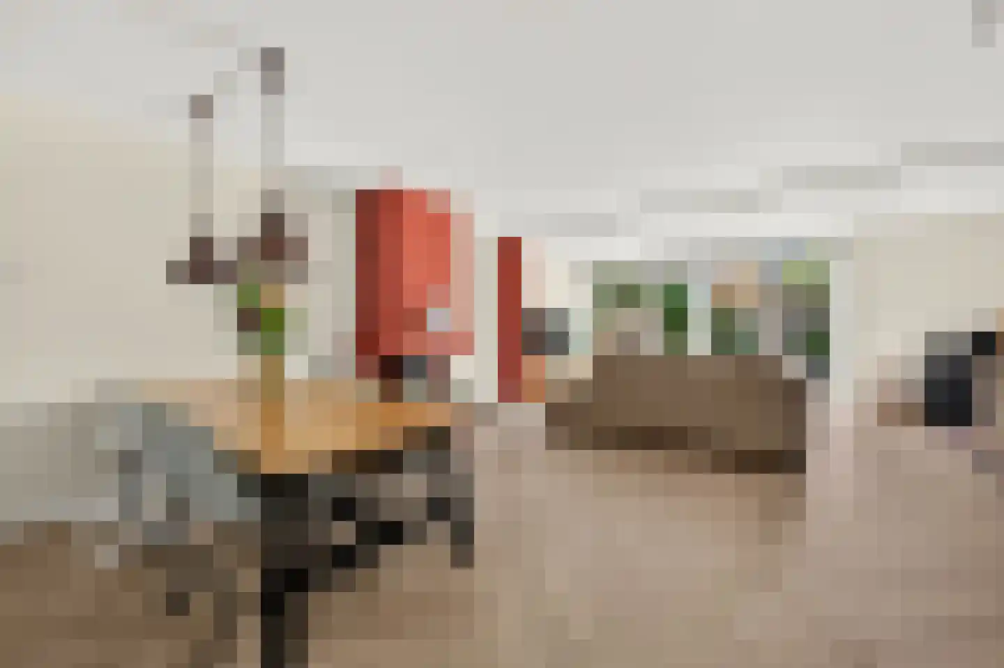 Wipmolen 4 Maassluis thumbnail 4