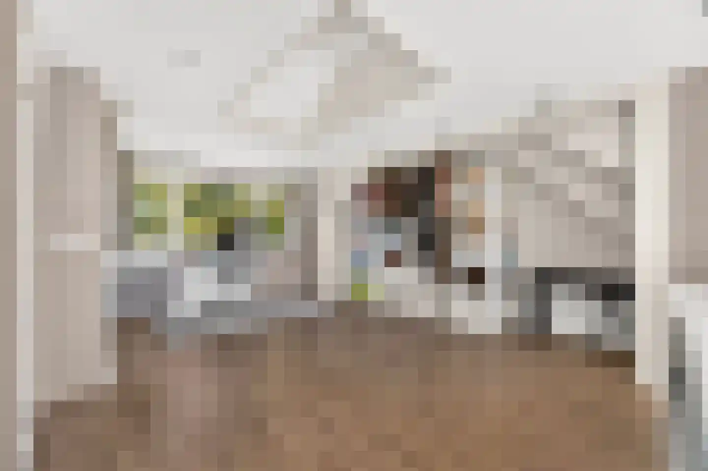 Wipmolen 4 Maassluis thumbnail 45