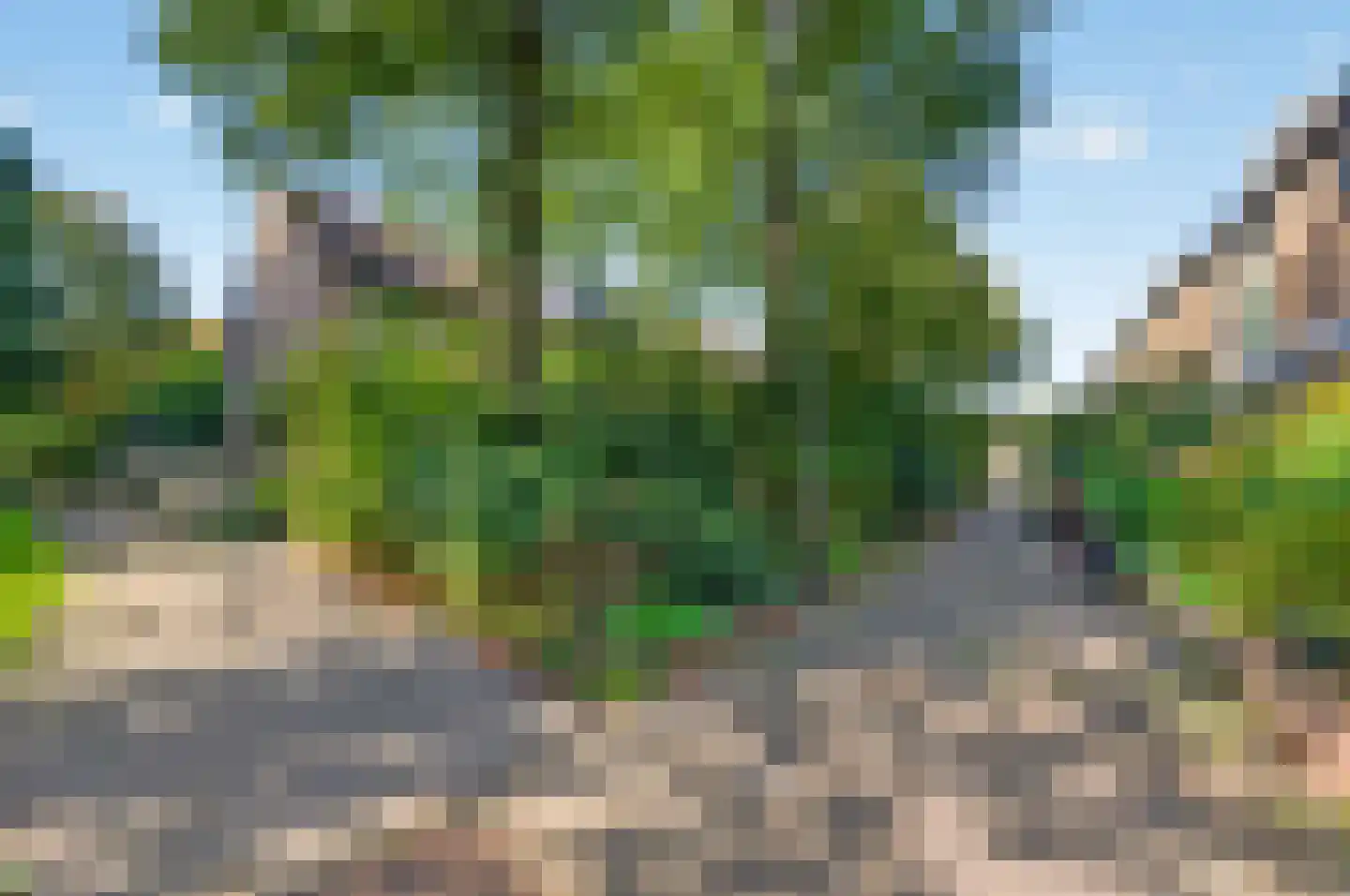 Wipmolen 4 Maassluis thumbnail 49