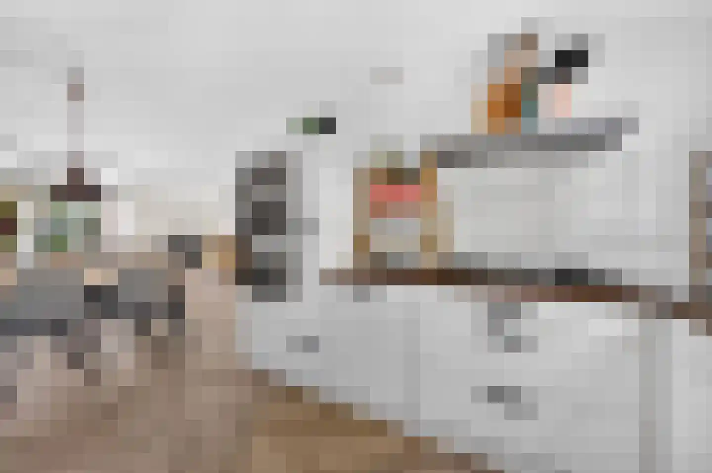 Wipmolen 4 Maassluis thumbnail 5