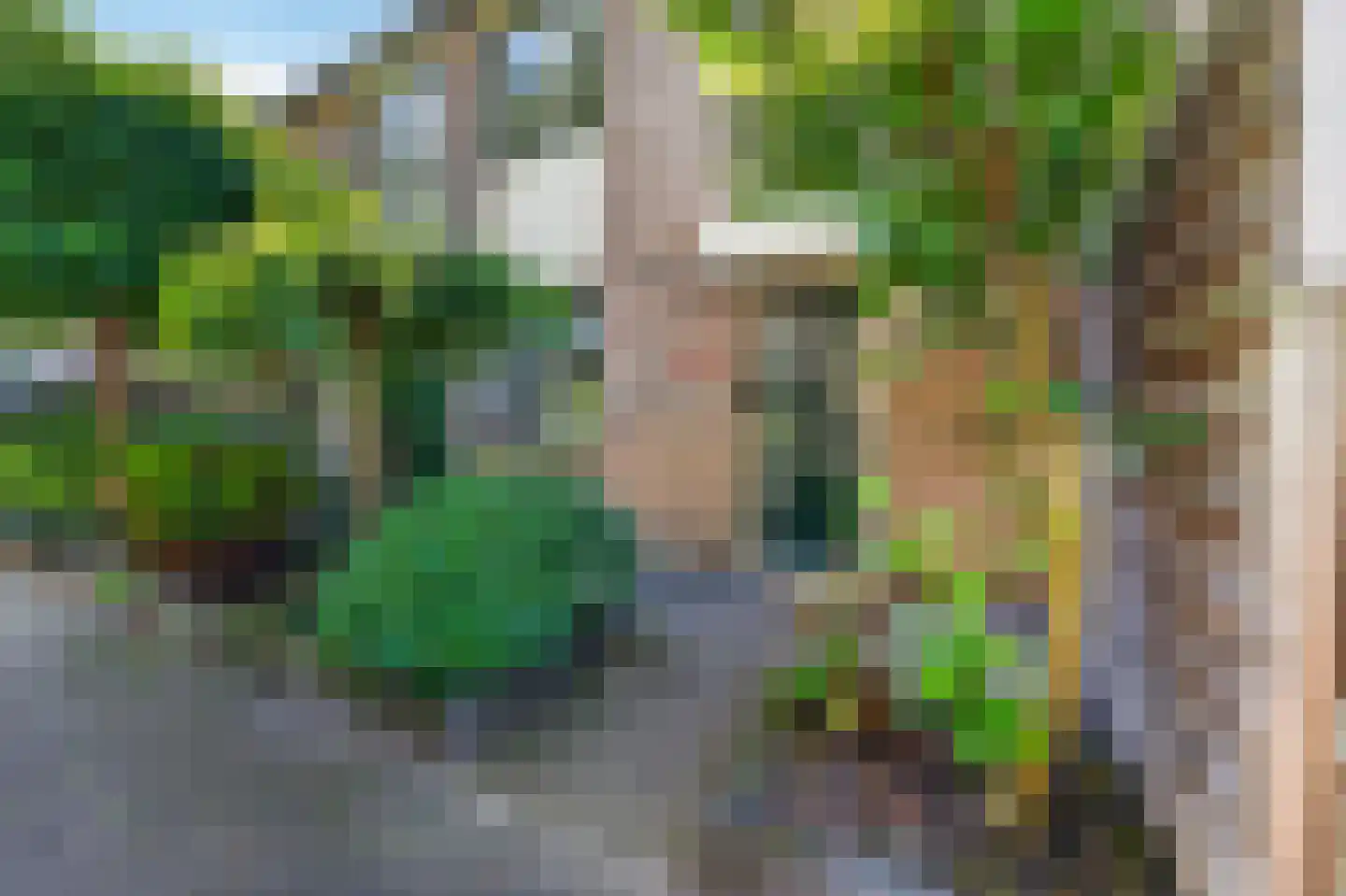 Wipmolen 4 Maassluis thumbnail 7