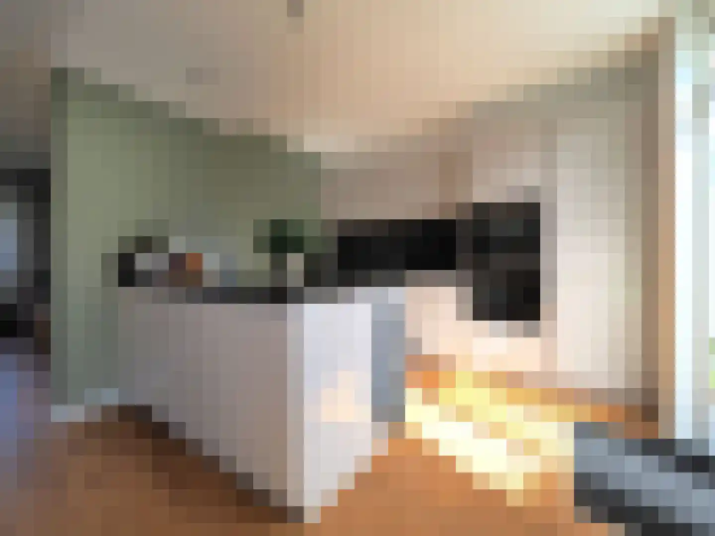 Wipmolen 44 Papendrecht thumbnail 22