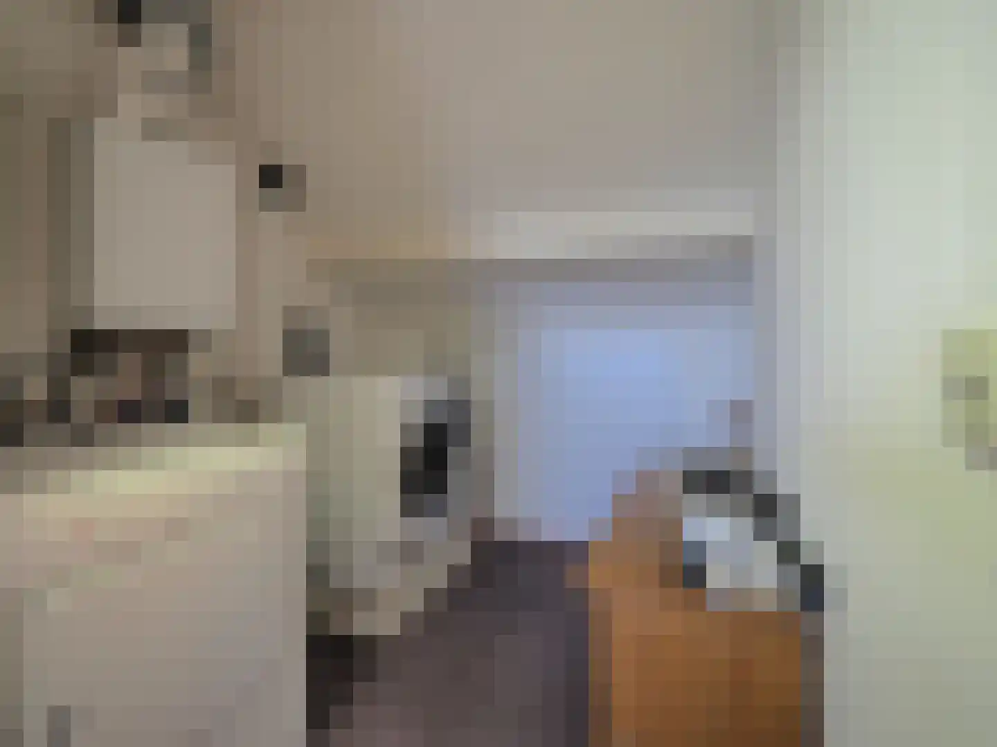 Wipmolen 44 Papendrecht thumbnail 44