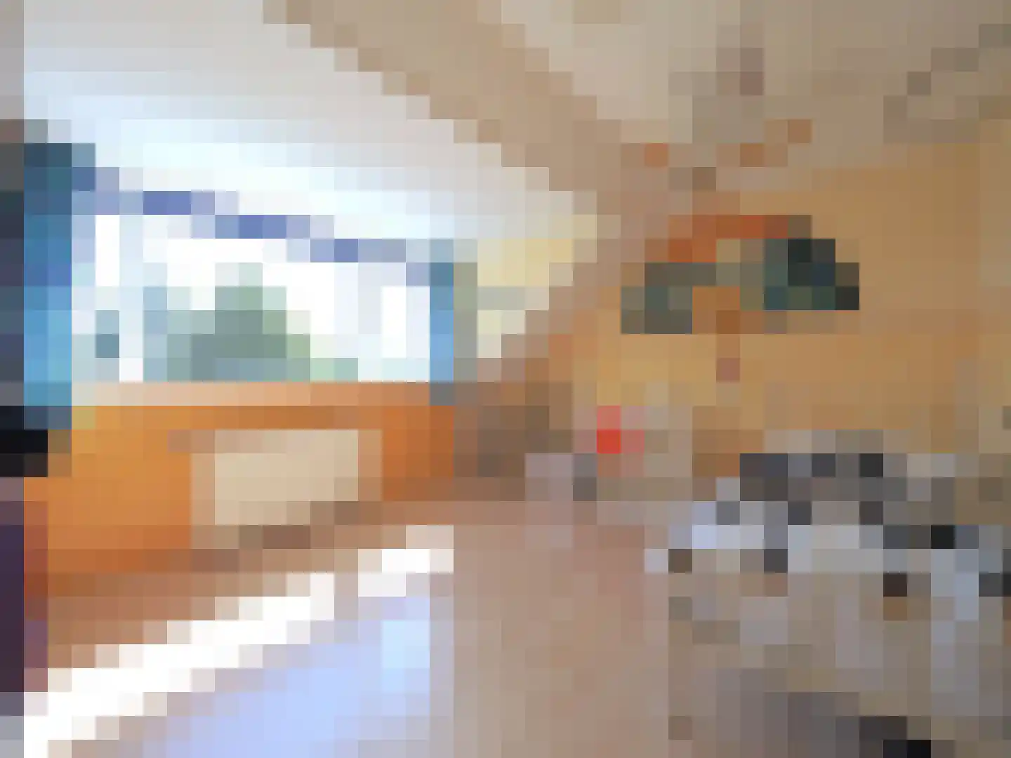 Wipmolen 44 Papendrecht thumbnail 45