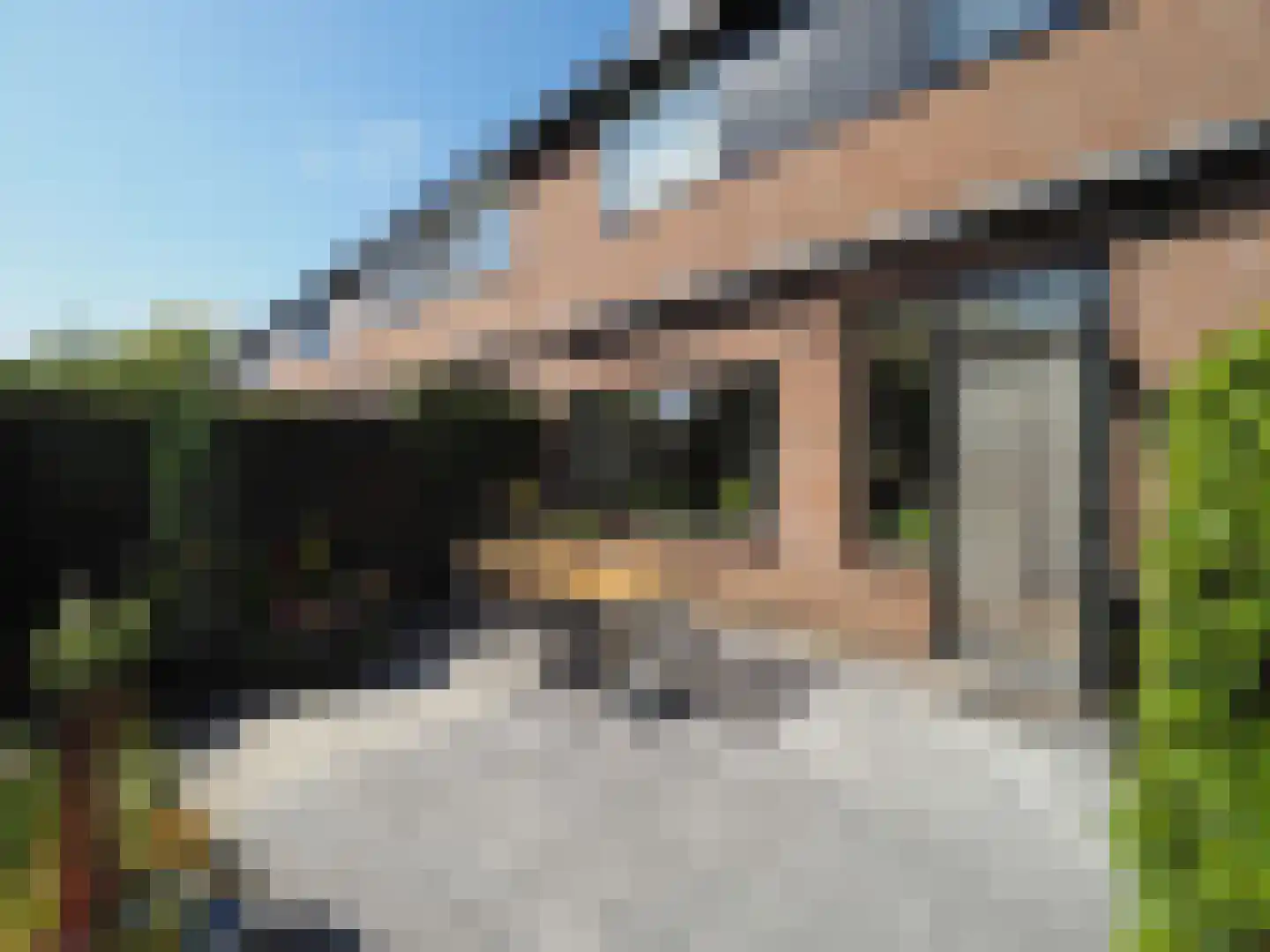 Wipmolen 44 Papendrecht thumbnail 51