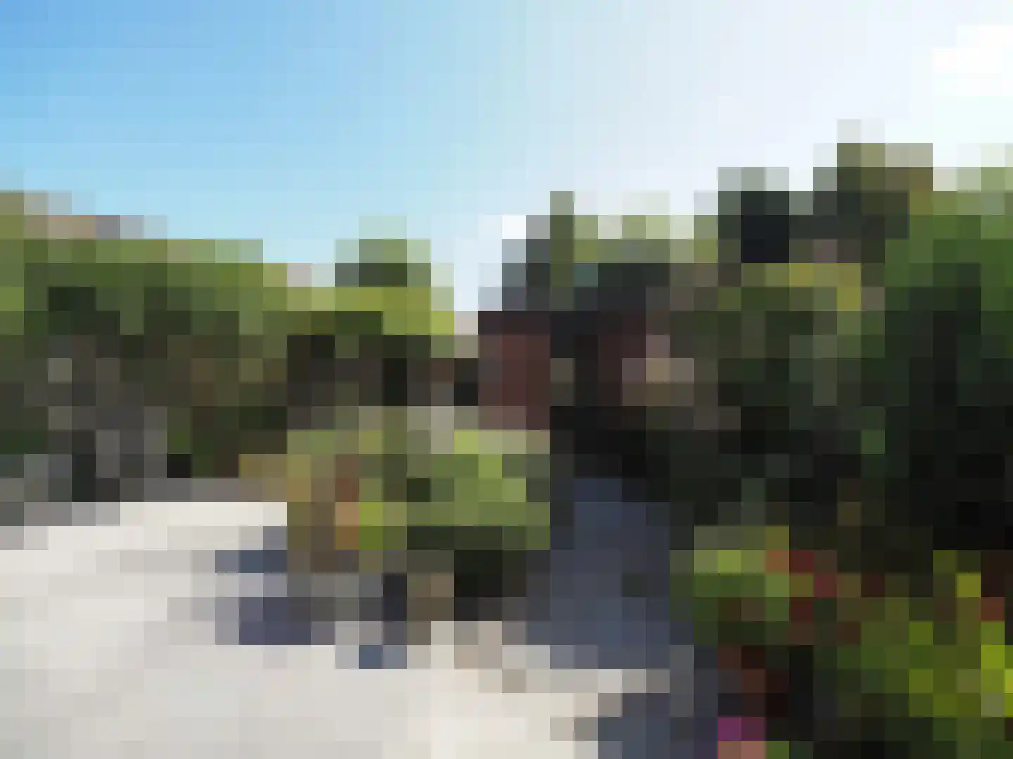 Wipmolen 44 Papendrecht thumbnail 54