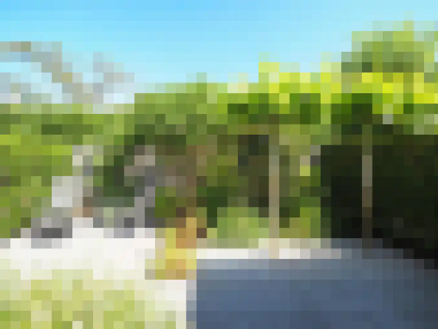 Wipmolen 44 Papendrecht thumbnail 55
