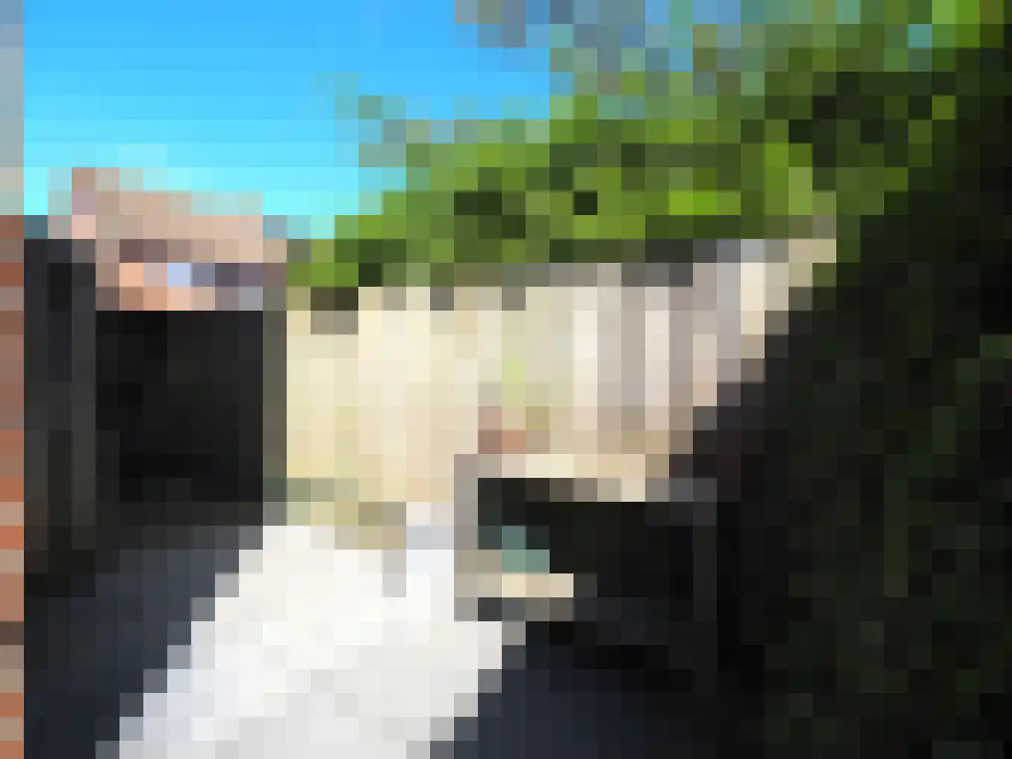 Wipmolen 44 Papendrecht thumbnail 57