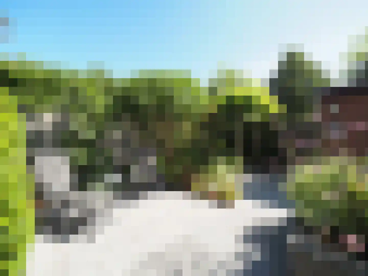 Wipmolen 44 Papendrecht thumbnail 6