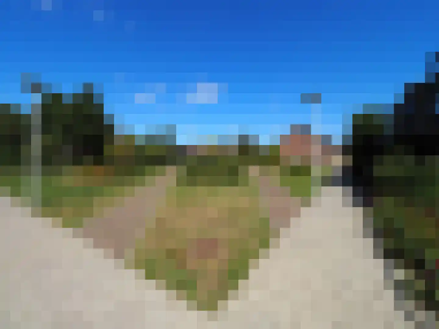 Wipmolen 44 Papendrecht thumbnail 60