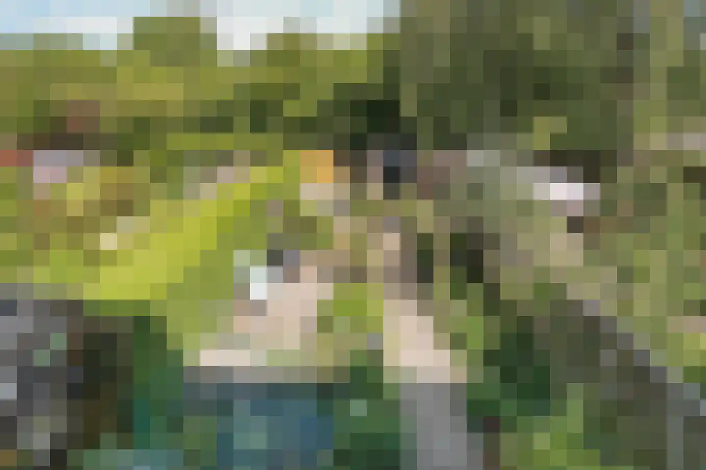 Wipmolen 44 Purmerend thumbnail 21