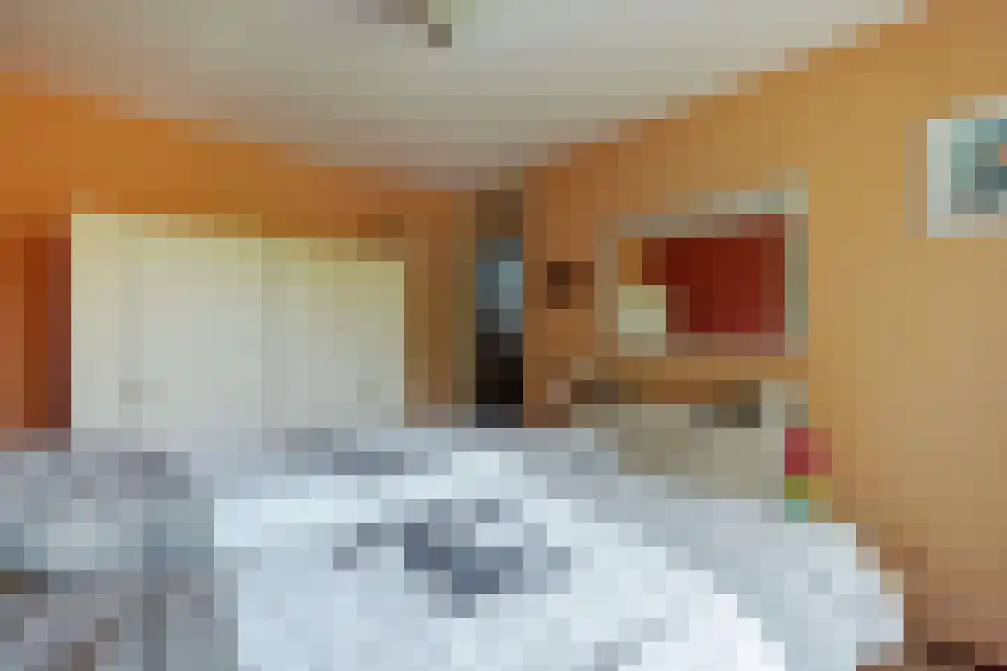 Wipmolen 44 Purmerend thumbnail 23