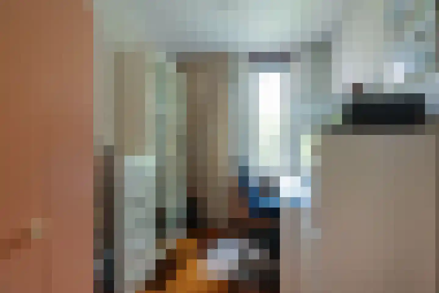 Wipmolen 44 Purmerend thumbnail 25