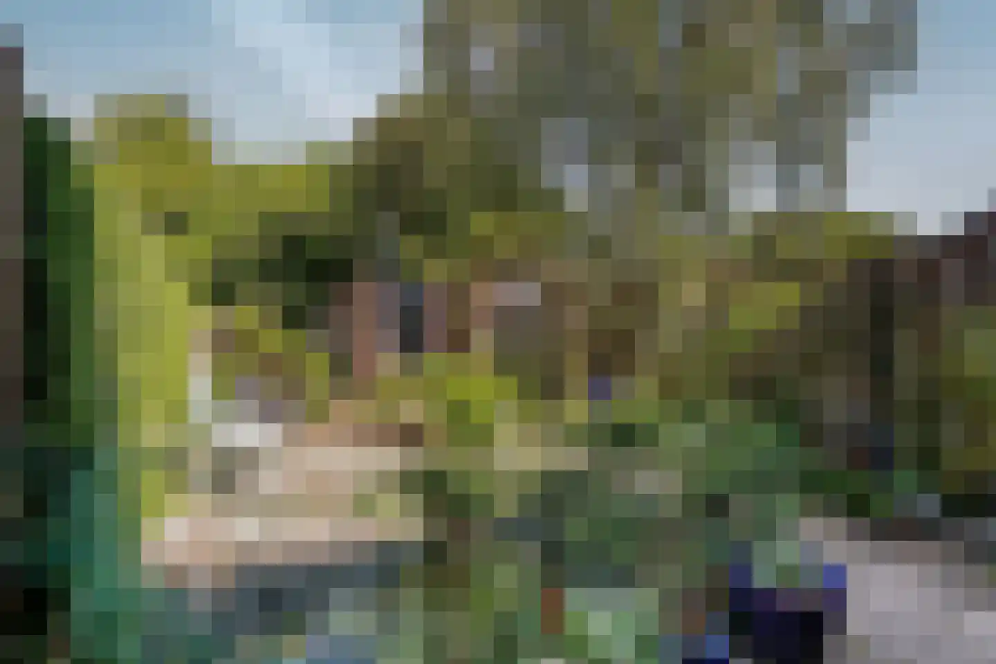 Wipmolen 44 Purmerend thumbnail 37