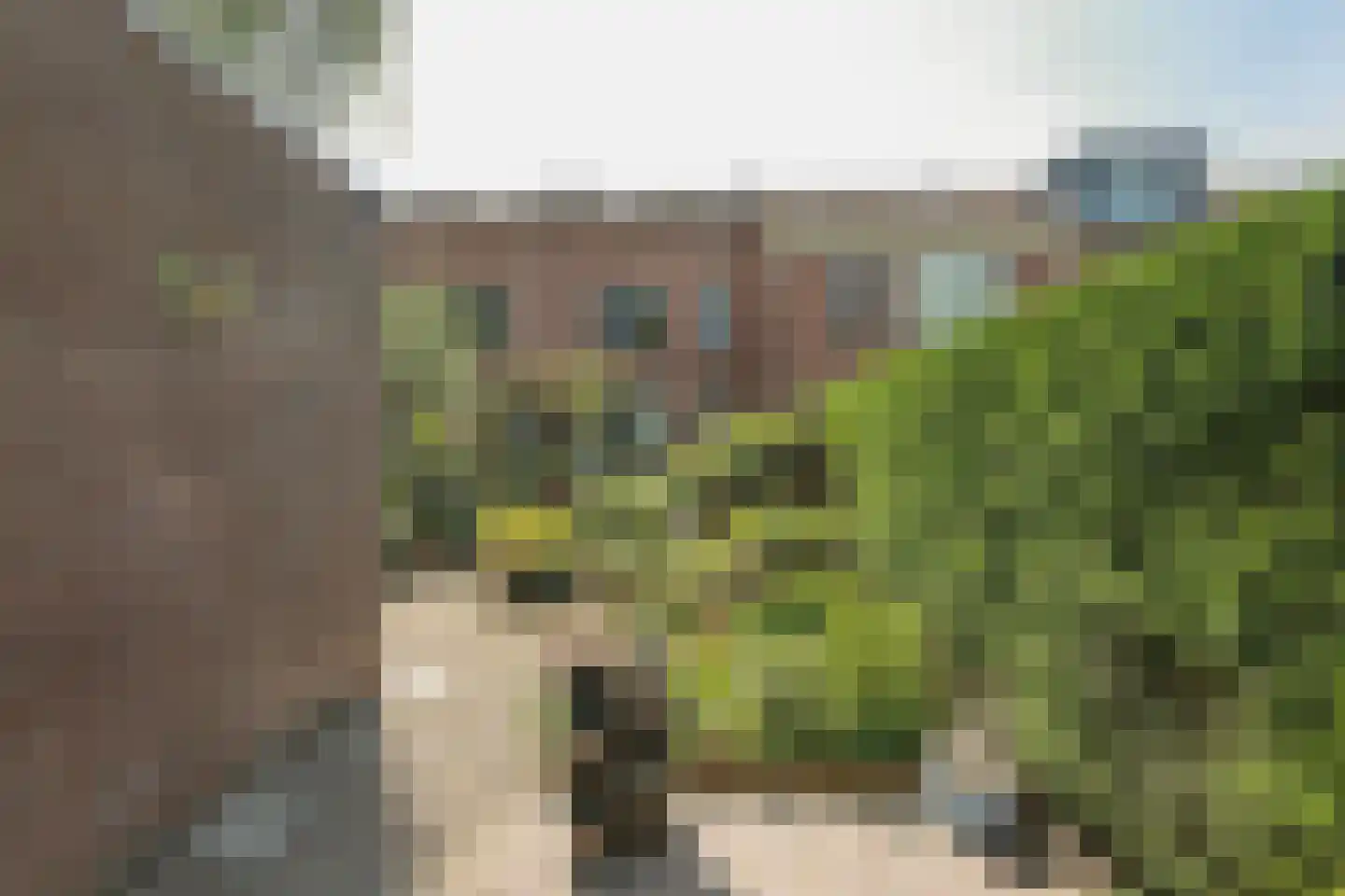 Wipmolen 44 Purmerend thumbnail 46