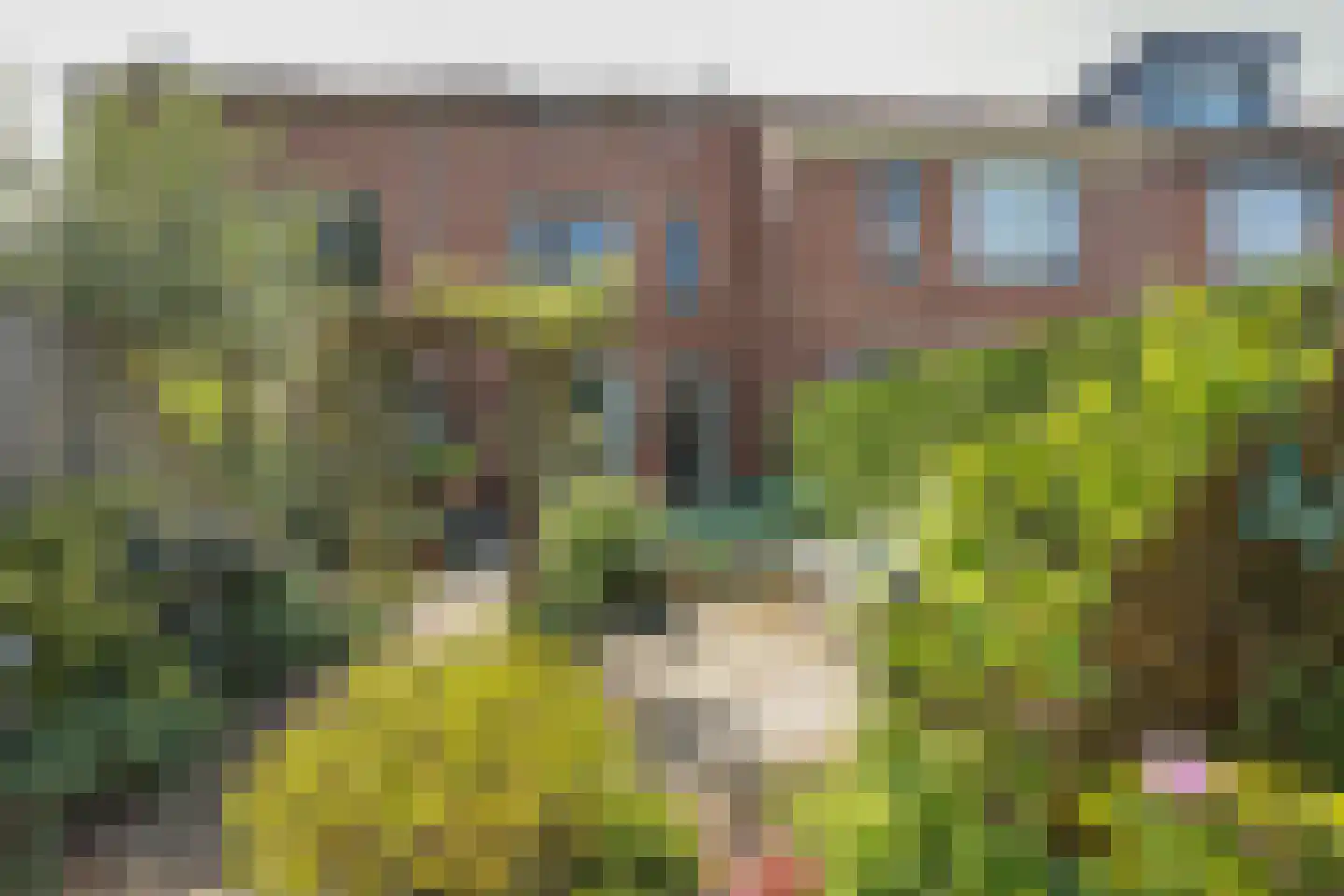 Wipmolen 44 Purmerend thumbnail 47