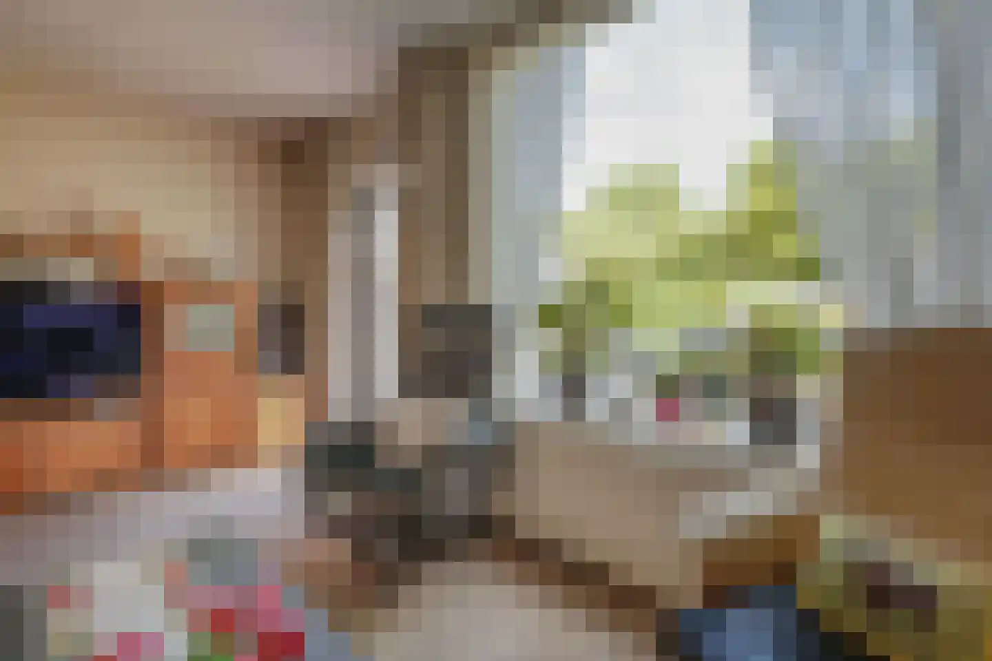 Wipmolen 44 Purmerend thumbnail 5