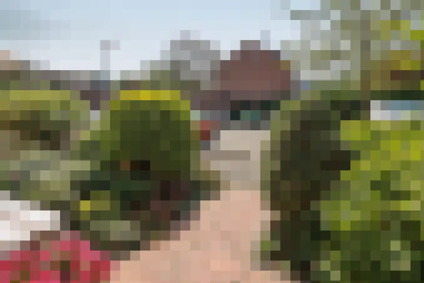 Wipmolen 44 Purmerend thumbnail 50