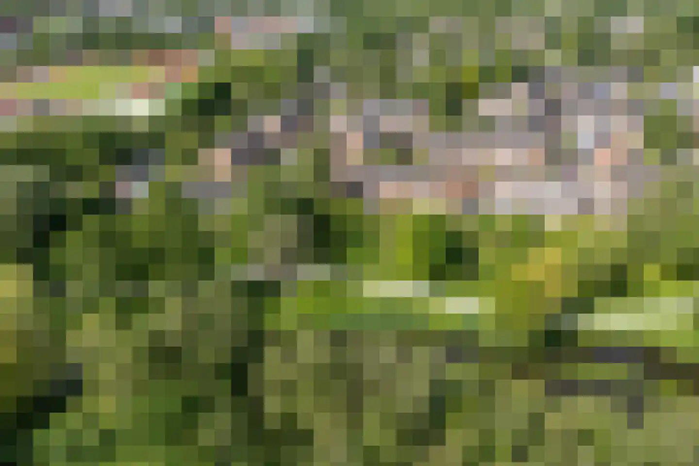 Wipmolen 44 Purmerend thumbnail 64