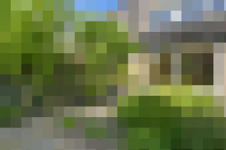 Wipmolen 52 Mijdrecht thumbnail 13