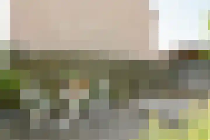 Wipmolen 52 Mijdrecht thumbnail 16