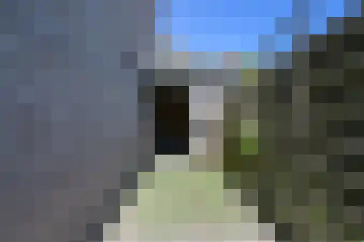 Wipmolen 52 Mijdrecht thumbnail 19