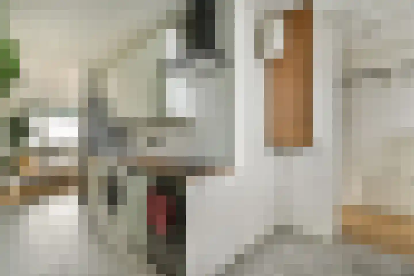 Wipmolen 53 Amsterdam thumbnail 11