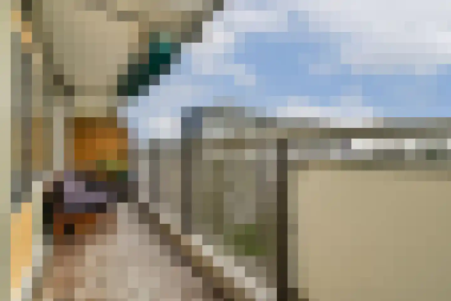 Wipmolen 53 Amsterdam thumbnail 19